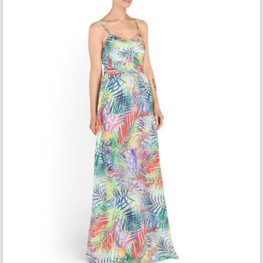 New With Tags Parker Silk Maxi Dress size Small